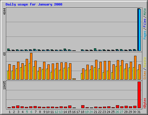 Daily usage for January 2008