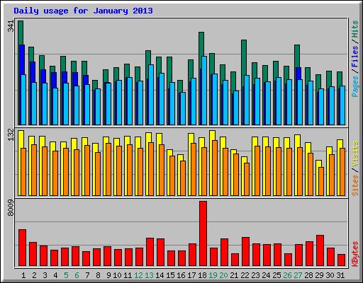 Daily usage for January 2013