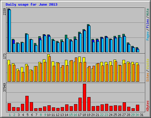 Daily usage for June 2013