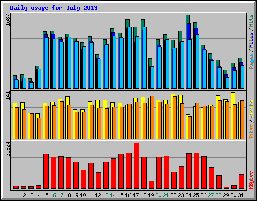Daily usage for July 2013