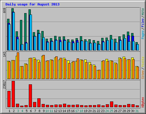 Daily usage for August 2013