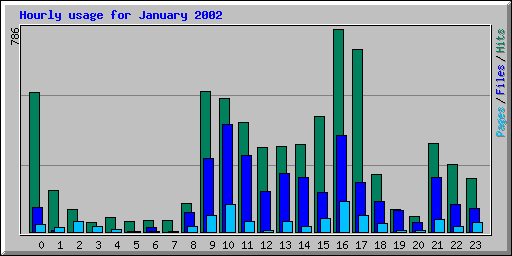 Hourly usage for January 2002