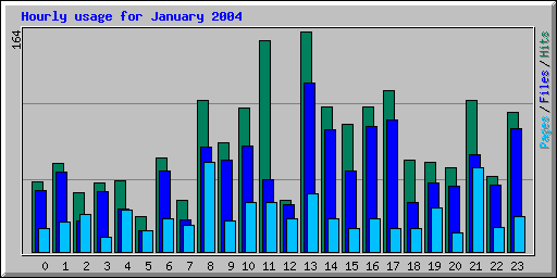 Hourly usage for January 2004