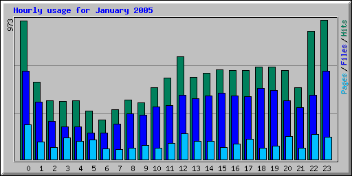 Hourly usage for January 2005