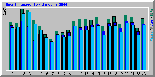 Hourly usage for January 2006