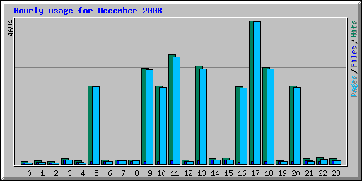 Hourly usage for December 2008