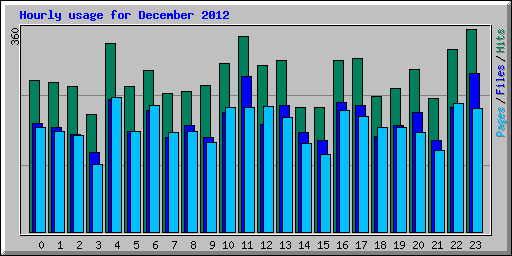 Hourly usage for December 2012