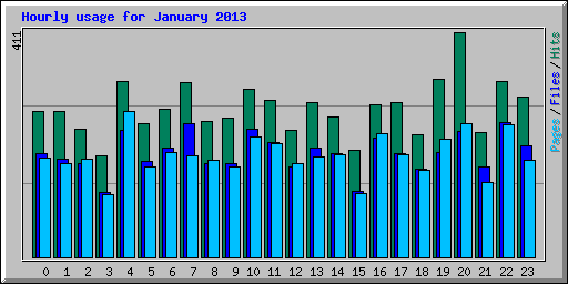 Hourly usage for January 2013