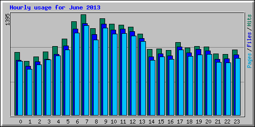 Hourly usage for June 2013