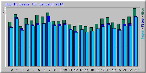 Hourly usage for January 2014