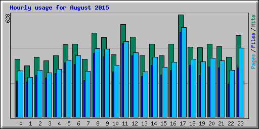 Hourly usage for August 2015