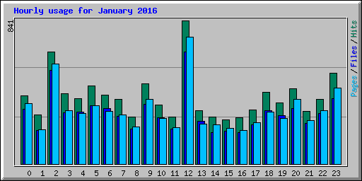 Hourly usage for January 2016